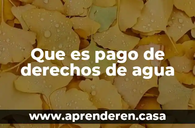 Que es pago de derechos de agua