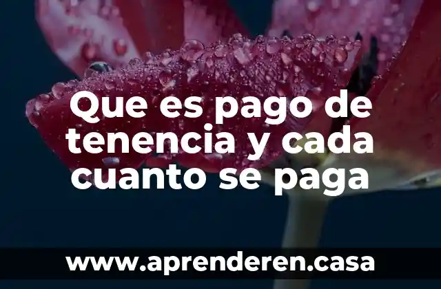 Que es unafactura de pago 7 Que es pago de tenencia y cada cuanto se paga