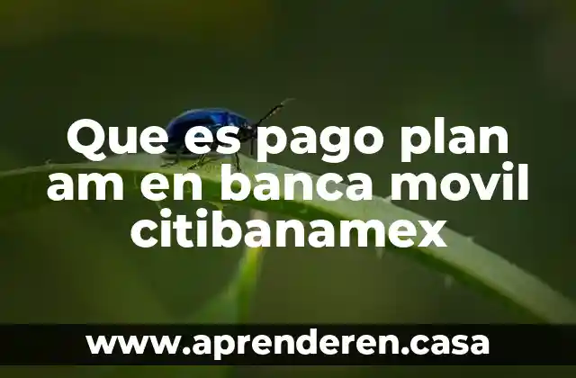 Que es pago plan am en banca movil citibanamex