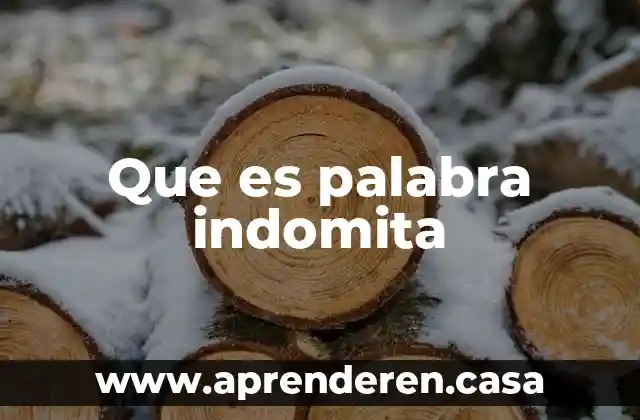 Qué es la palabra gliosis 5 Que es palabra indomita