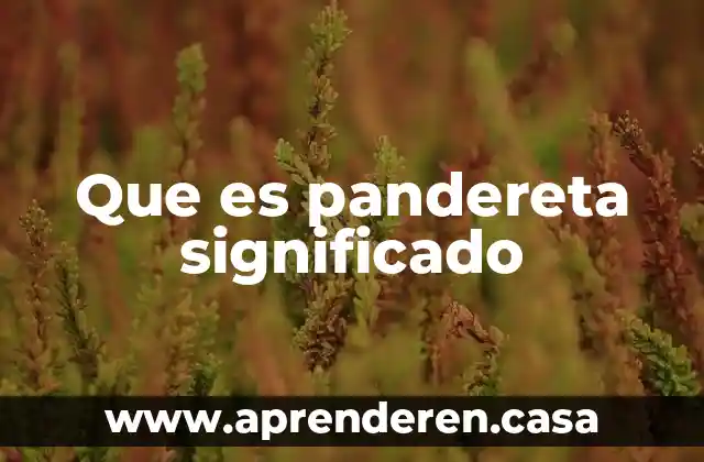 Que es pandereta significado