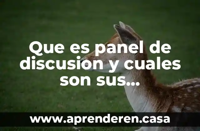 Que es panel de discusion y cuales son sus caracteristicas