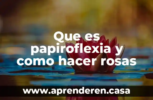Que es papiroflexia y como hacer rosas