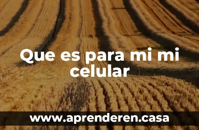 Que es para mi mi celular