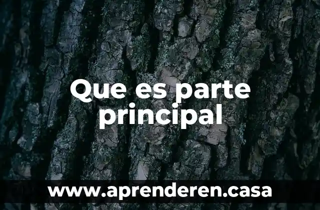 Que es el microscopio funciones de cada parte 6 Que es parte principal
