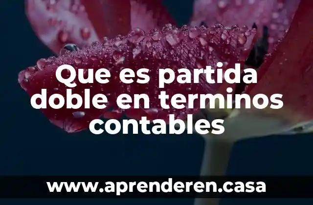 Qué es un glosario de términos 3 Que es partida doble en terminos contables