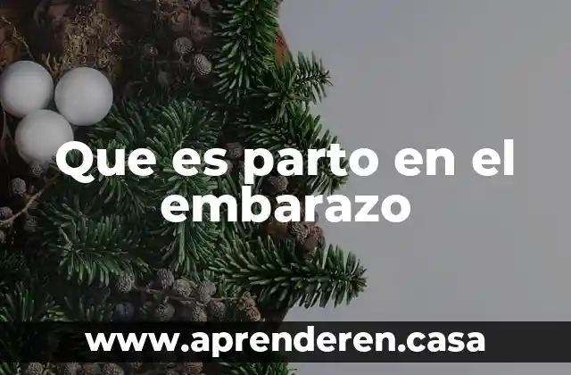 Anoxia parto qué es 5 Que es parto en el embarazo