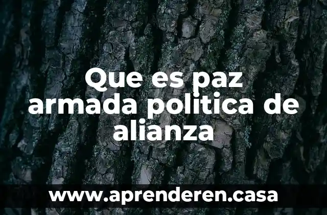 Que es paz armada politica de alianza