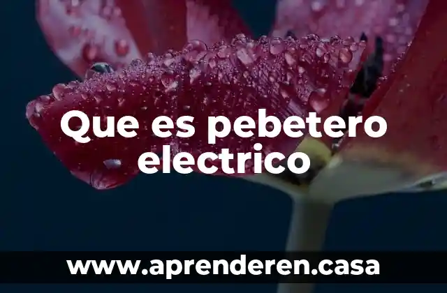 Que es pebetero electrico