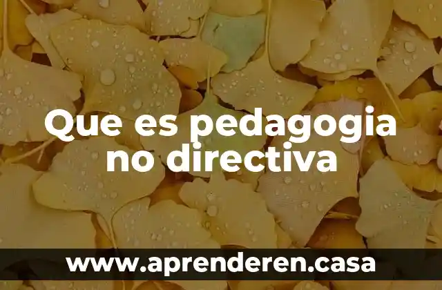 Que es pedagogia no directiva