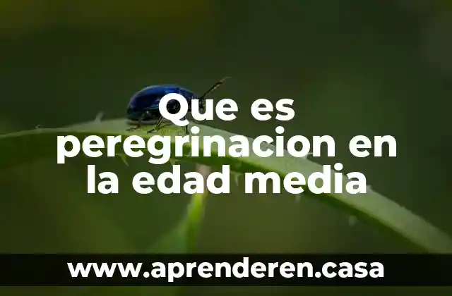 Que es labradores edad media 6 Que es peregrinacion en la edad media