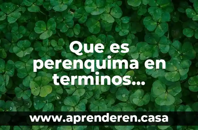 Qué es un glosario de términos 4 Que es perenquima en terminos biologicos