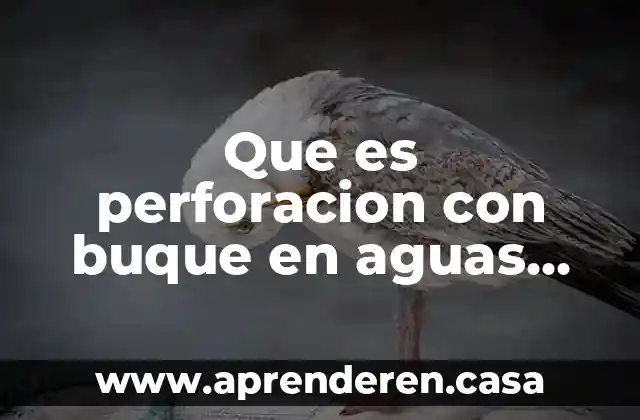 Qué es nitrógeno en aguas 3 Que es perforacion con buque en aguas profundas