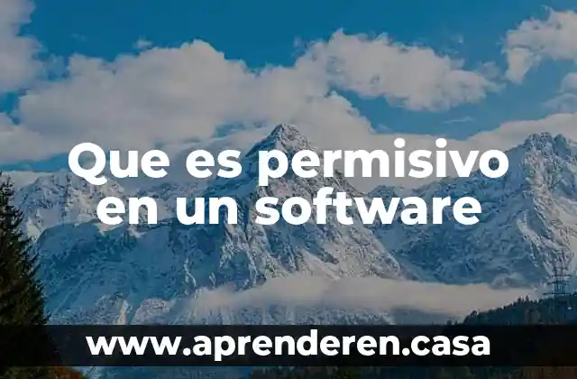 Que es programas software para abarrotes 8 Que es permisivo en un software