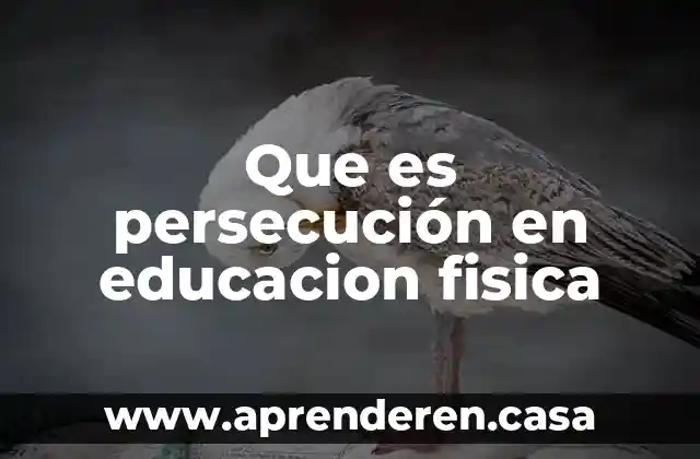 Que es persecución en educacion fisica