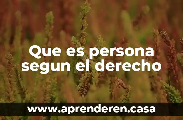 Que es persona segun el derecho