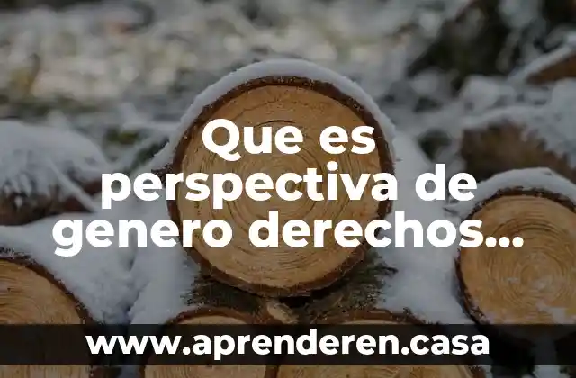 Qué es la ley federal de derechos 2019 4 Que es perspectiva de genero derechos humanos