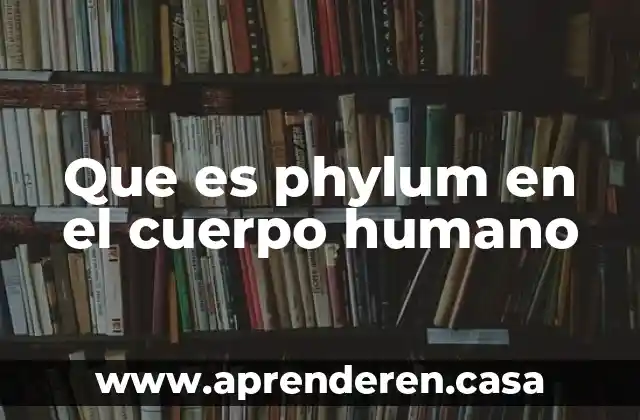 Que es phylum en el cuerpo humano