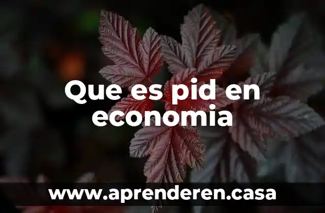 La macroeconomía de una economía abierta que es 3 Que es pid en economia