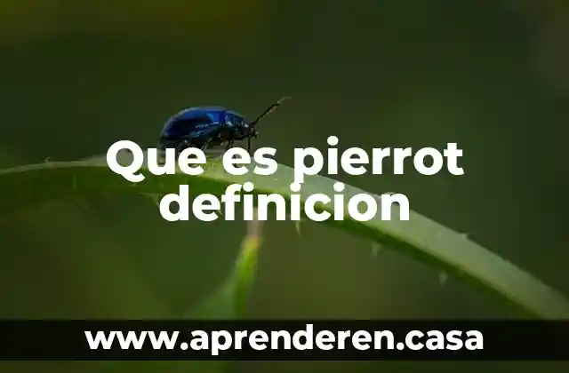 Que es un folleto informativo definicion libro 6 Que es pierrot definicion