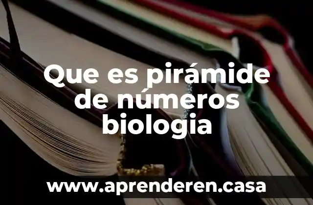 Que es pirámide de números biologia