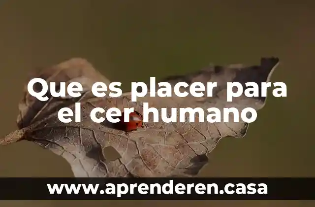 Que es un derecho humano fundamental 5 Que es placer para el cer humano