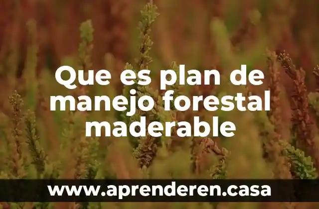 Que es plan de manejo forestal maderable
