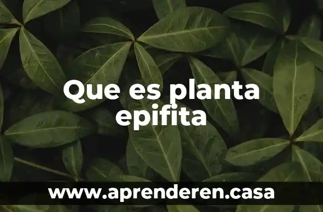 Que es planta epifita