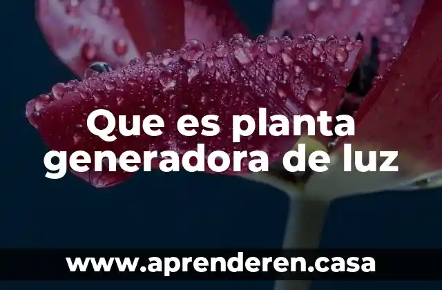 Que es planta generadora de luz