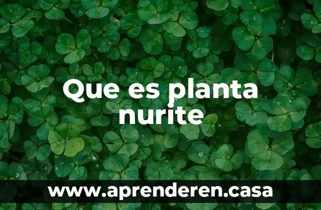 Qué es una planta de gas 6 Que es planta nurite