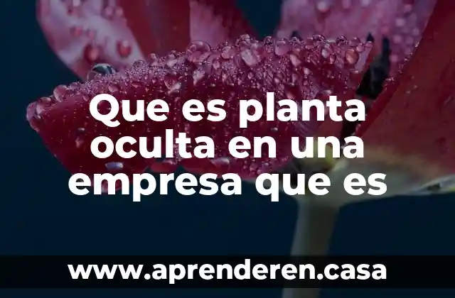 Que es planta oculta en una empresa que es