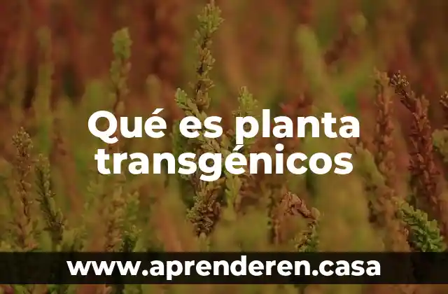 Qué es planta transgénicos