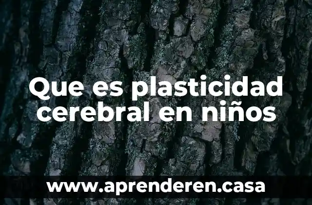 Que es plasticidad cerebral en niños