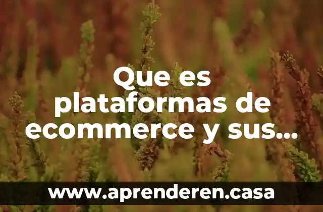 Que es plataformas de ecommerce y sus tipos