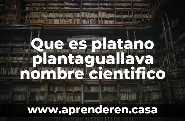 Que es platano plantaguallava nombre cientifico