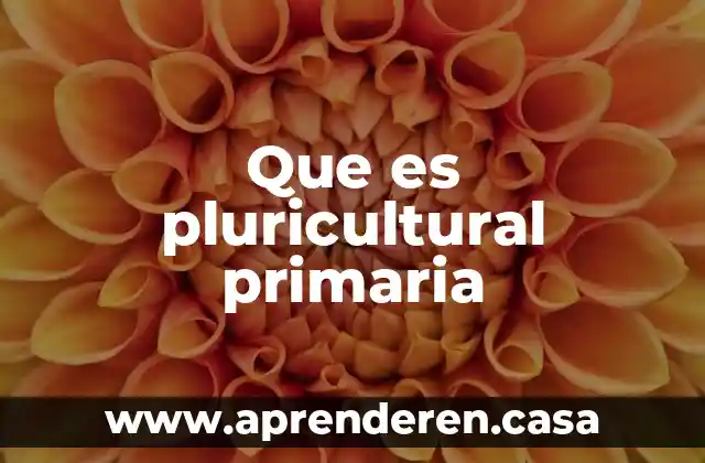 Que es pluricultural primaria