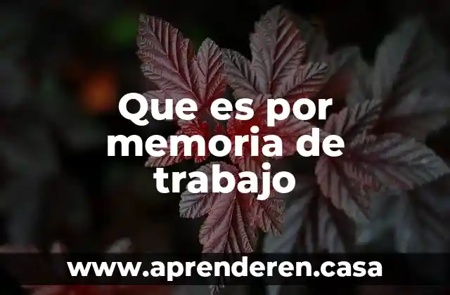 Que es el orden en el trabajo 7 Que es por memoria de trabajo