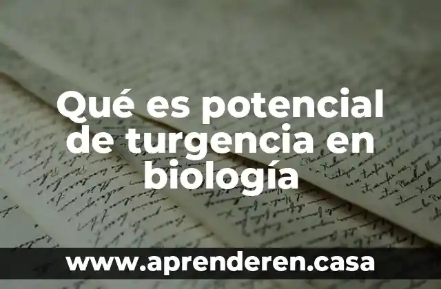 Qué es potencial de turgencia en biología