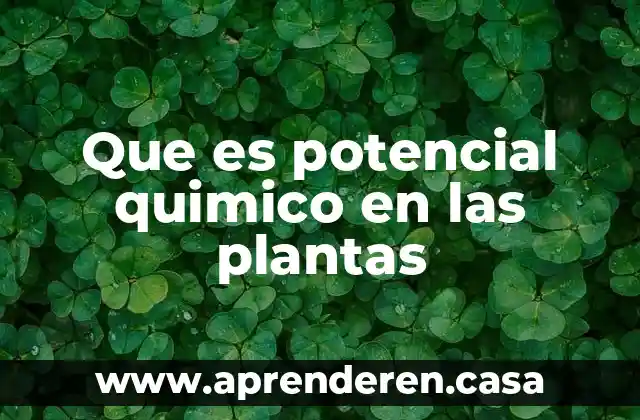 Que es potencial quimico en las plantas