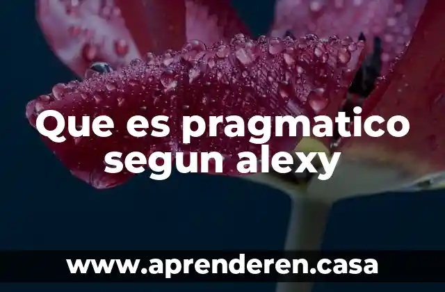 Que es trastorno de la comunicación social pragmático 4 Que es pragmatico segun alexy