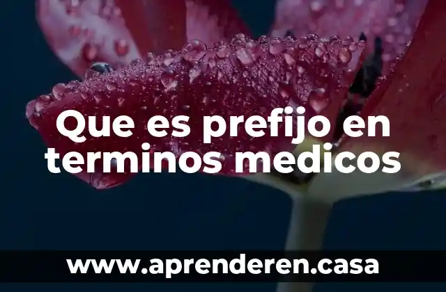 Que es prefijo en terminos medicos