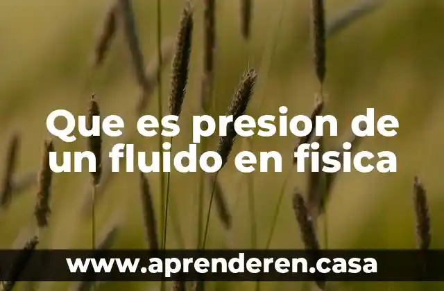 Que es presion de un fluido en fisica