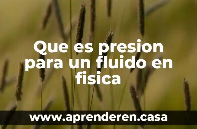 Que es presion para un fluido en fisica