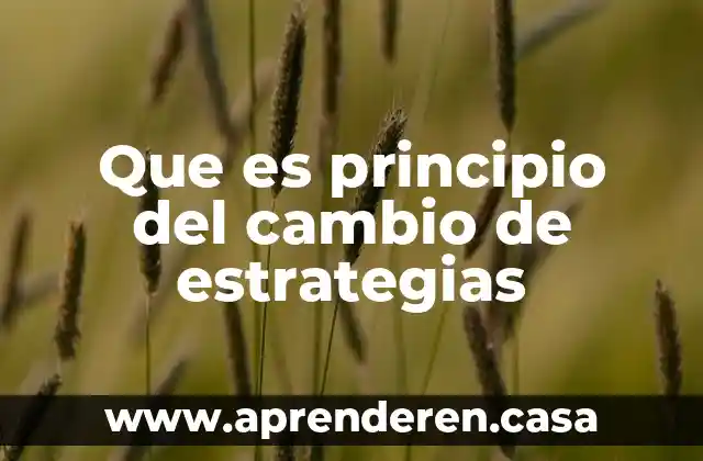 Que es principio del cambio de estrategias