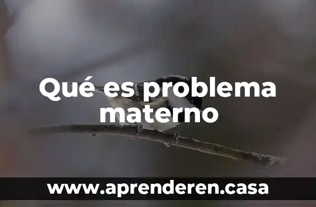 Qué es problema materno