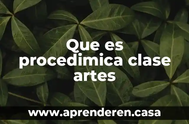 Que es procedimica clase artes