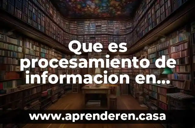 Que es procesamiento de informacion en una investigacion