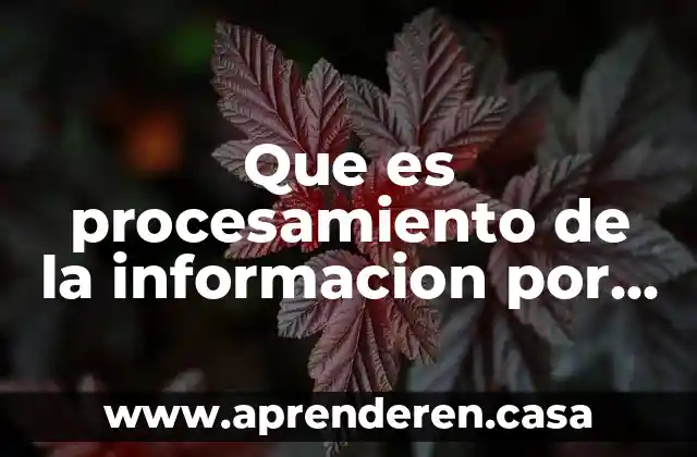 Que es un escalar mecanica de medios continuos 6 Que es procesamiento de la informacion por medios digitales