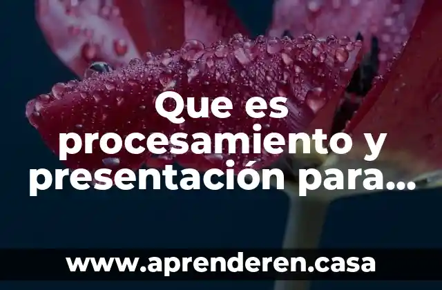 Que es procesamiento y presentación para la información