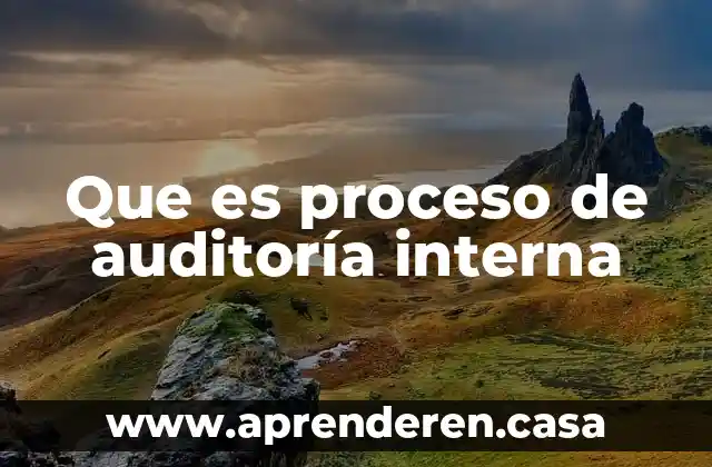 Que es informacion externa e interna de una empresa 4 Que es proceso de auditoría interna